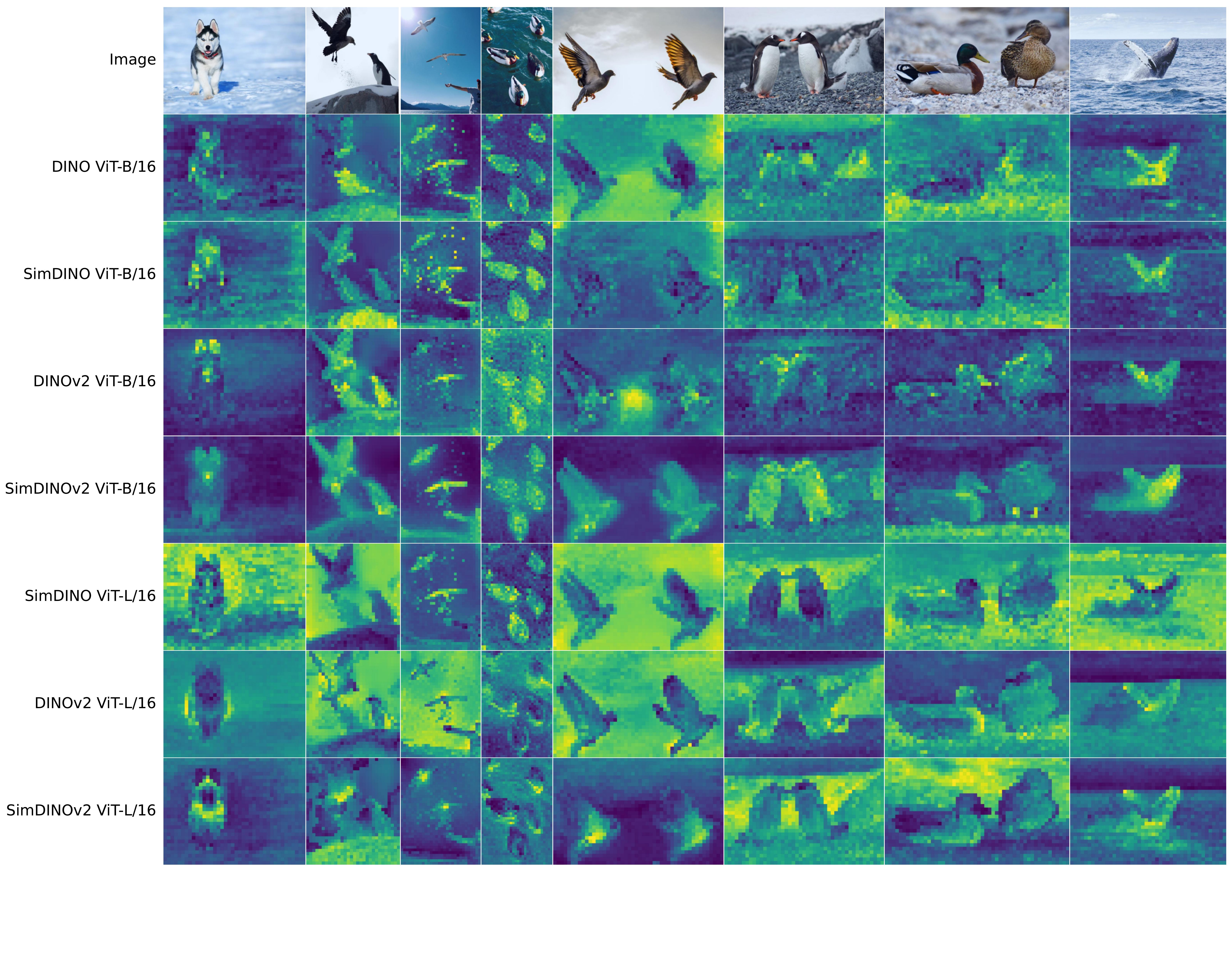 Saliency Maps